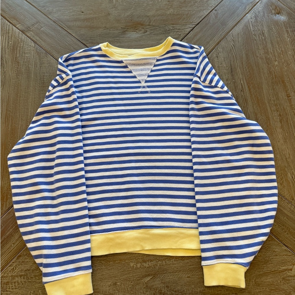 We The Free Blue and White Crewneck Sweater with Balloon Sleeves